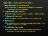 Sausinimas 20 puslapis