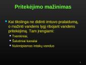 Sausinimas 5 puslapis