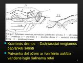 Sausinimas 6 puslapis