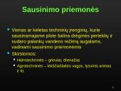 Sausinimas 7 puslapis