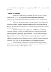 Lietuvos kariuomenės indėlis tarptautinio saugumo užtikrinimui 11 puslapis