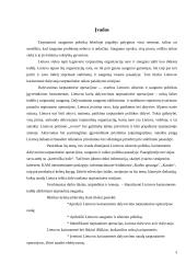 Lietuvos kariuomenės indėlis tarptautinio saugumo užtikrinimui 3 puslapis