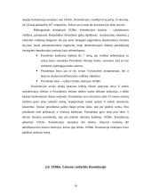 Lietuvos konstitucingumo raida 1918 – 1940 metais 15 puslapis