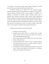 Lietuvos konstitucingumo raida 1918 – 1940 metais 17 puslapis