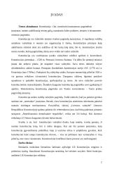 Lietuvos Respublikos Konstitucija (Referatas) 2 puslapis