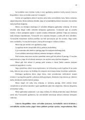 Lietuvos Respublikos Konstitucinės teisės kontrolinis darbas 19 puslapis