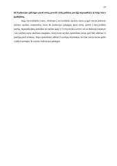 Lietuvos Respublikos Konstitucinės teisės kontrolinis darbas 20 puslapis