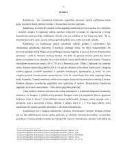 Lietuvos Respublikos konstitucinės teisės normų ypatumai 2 puslapis