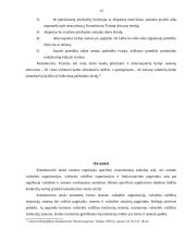 Lietuvos Respublikos konstitucinės teisės normų ypatumai 13 puslapis