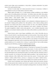 Lietuvos tautos istorija, lietuvio charakterio ypatumai, juos lemiantys veiksniai 11 puslapis