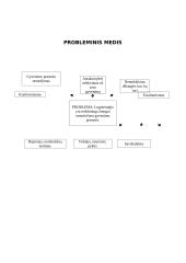 Logoterapija kaip metodas 13 puslapis