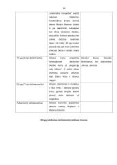 Mada ir drabužiai. Referatas 15 puslapis