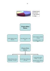 Mada ir drabužiai. Referatas 17 puslapis