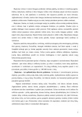 Mąstymas ir jo ypatybės 2 puslapis