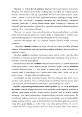 Mąstymas ir jo ypatybės 3 puslapis