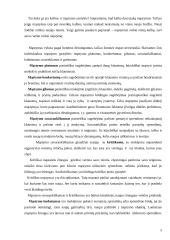 Mąstymas ir jo ypatybės 5 puslapis