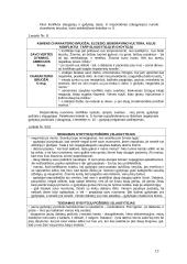 Medicinos personalo konfliktai 13 puslapis