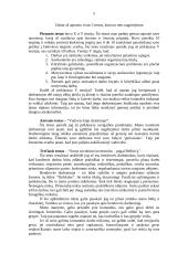 Aš - vadovas 5 puslapis