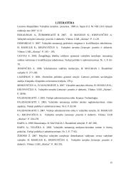 Modernios valstybės tarnybos kūrimas Lietuvoje 15 puslapis