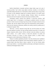 Motyvacija mokytis ir išmokimas 3 puslapis