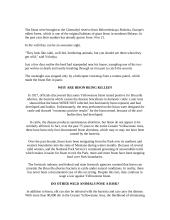 European bison  2 puslapis