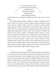 Motyvų esmė ir funkcijos 4 puslapis