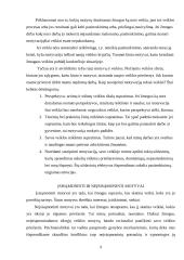Motyvų esmė ir funkcijos 6 puslapis