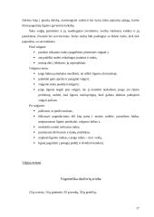 Namuose teikiamos paslaugos, namų tvarkymas, maisto ruošimas 16 puslapis