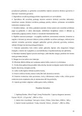 Namuose teikiamos paslaugos, namų tvarkymas, maisto ruošimas 18 puslapis