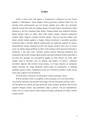 Namuose teikiamos paslaugos, namų tvarkymas, maisto ruošimas 2 puslapis