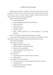 Namuose teikiamos paslaugos, namų tvarkymas, maisto ruošimas 5 puslapis