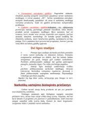 Narkotikų vartojimo priežastys 4 puslapis