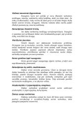 Narkotikų vartojimo priežastys 6 puslapis