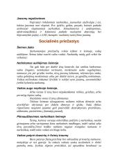 Narkotikų vartojimo priežastys 7 puslapis