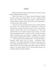 Naujosios viešosios vadybos idėjos Lietuvos valstybės tarnyboje 12 puslapis