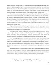 Neįgaliųjų plaukimas 13 puslapis