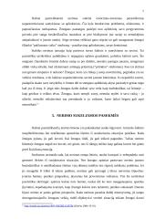 Nerimo problema 6 puslapis