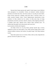 Nerimas ir baimės 2 puslapis