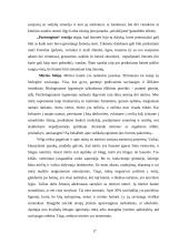 Nerimas ir baimės 17 puslapis