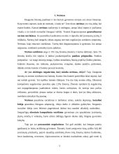 Nerimas ir baimės 3 puslapis