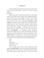 Nerimas ir baimės 6 puslapis