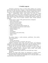 Netektis kaip socialinė psichologinė problema 3 puslapis