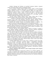 Netektis kaip socialinė psichologinė problema 5 puslapis