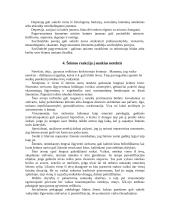 Netektis kaip socialinė psichologinė problema 9 puslapis