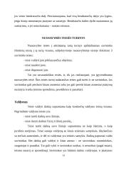 Nuosavybės (daiktinė) teisė civilinėje teisėje 13 puslapis