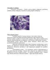 Gyvūnų chlamidiozė 2 puslapis