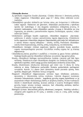 Gyvūnų chlamidiozė 4 puslapis