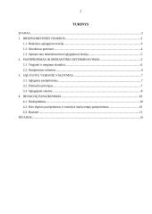 Operantinio determinavimo ir socialinio išmokimo teorijos 2 puslapis