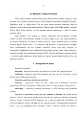 Operantinio determinavimo ir socialinio išmokimo teorijos 6 puslapis