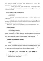 Oras ir sveikata 4 puslapis
